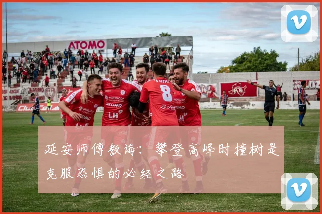 延安师傅教诲：攀登高峰时撞树是克服恐惧的必经之路